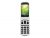 TEL MOBILE DORO 6050 CHAMPAGNE – DORO Téléphone mobile DORO